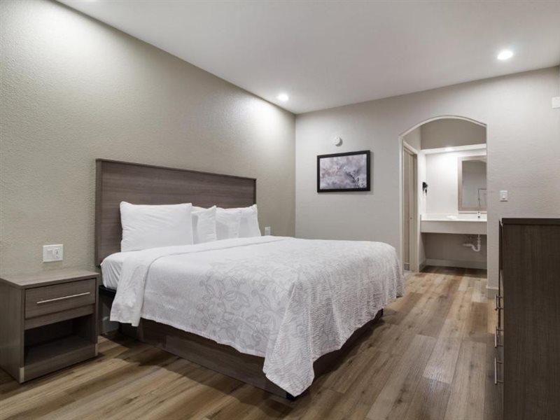 Red Roof Inn Plus + Galveston - Beachfront מראה חיצוני תמונה