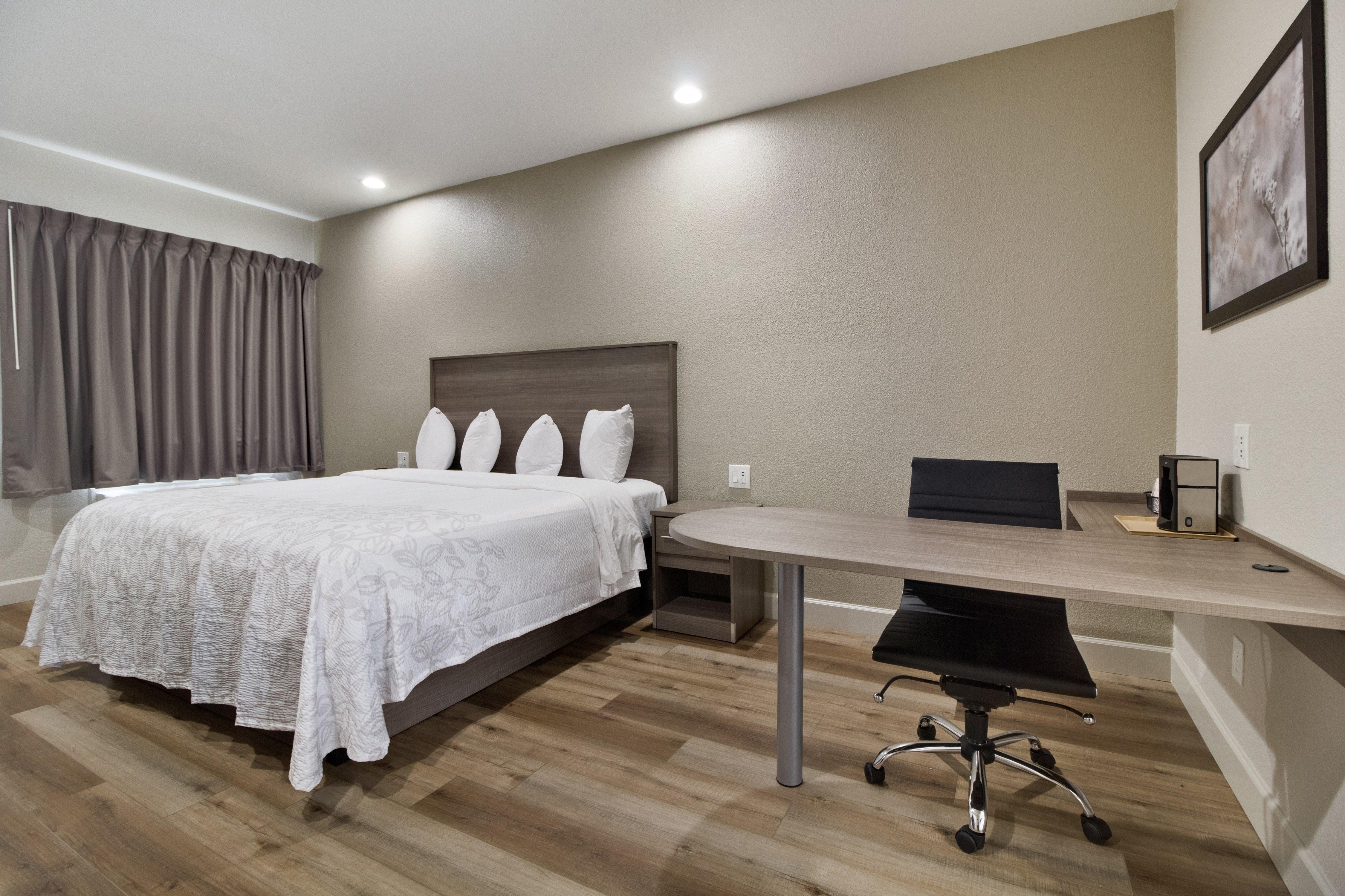 Red Roof Inn Plus + Galveston - Beachfront מראה חיצוני תמונה