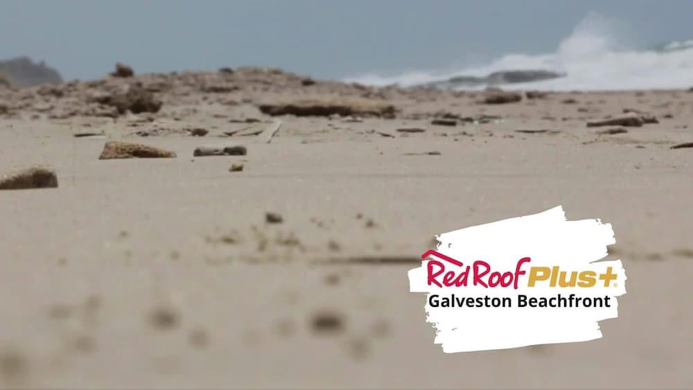 Red Roof Inn Plus + Galveston - Beachfront מראה חיצוני תמונה