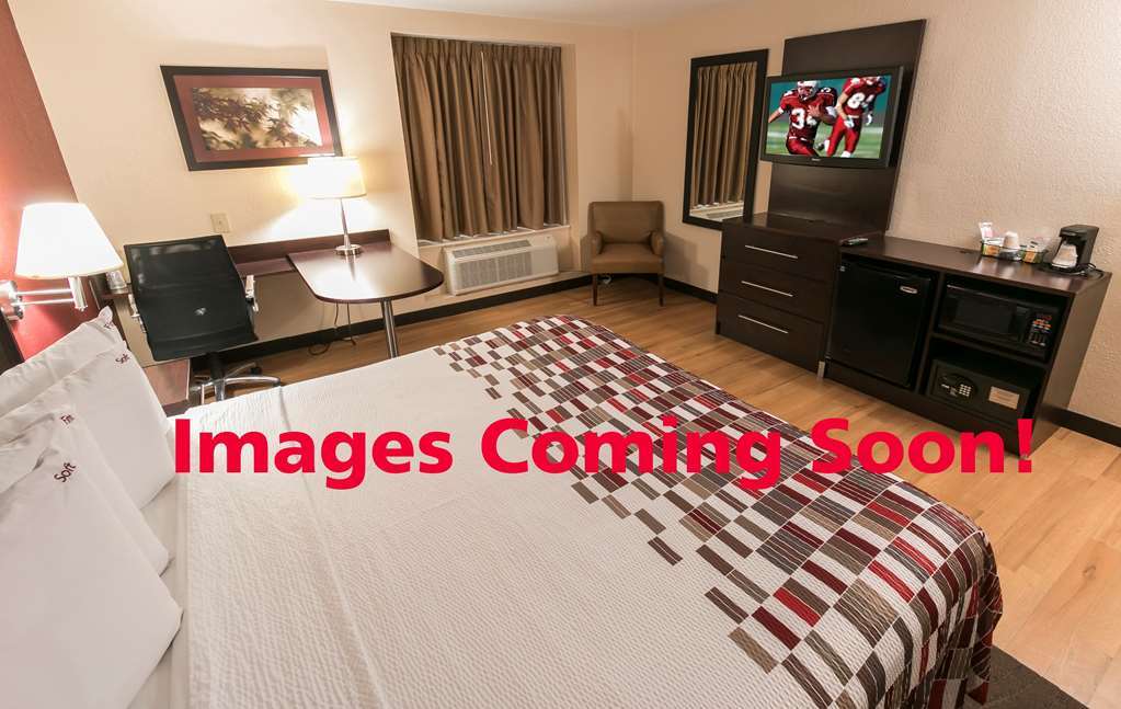 Red Roof Inn Plus + Galveston - Beachfront מתקנים תמונה